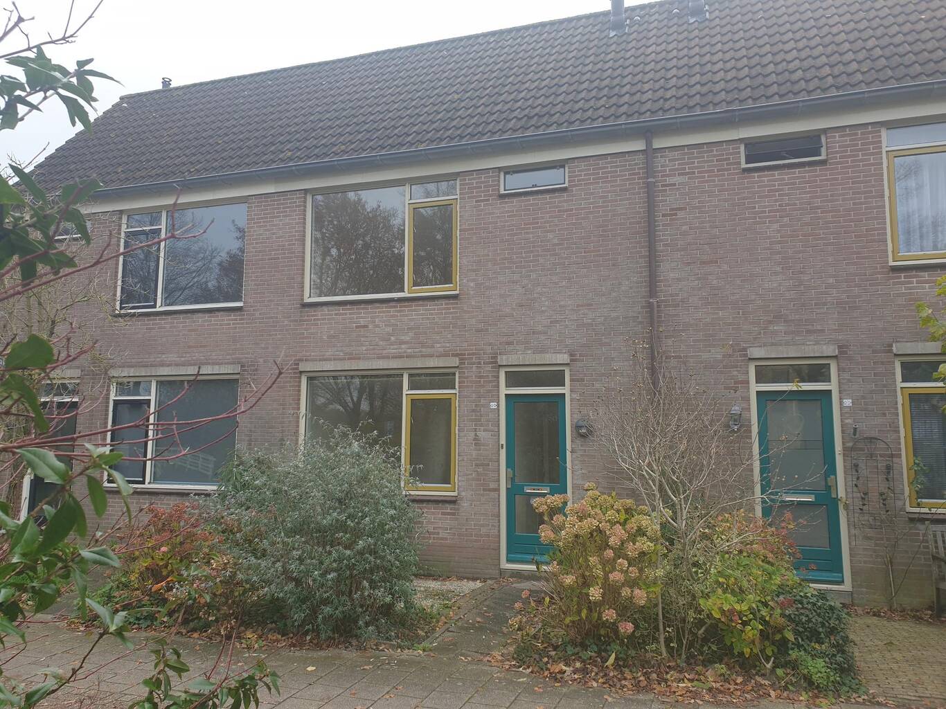 Flosbeugel 20 ENKHUIZEN
