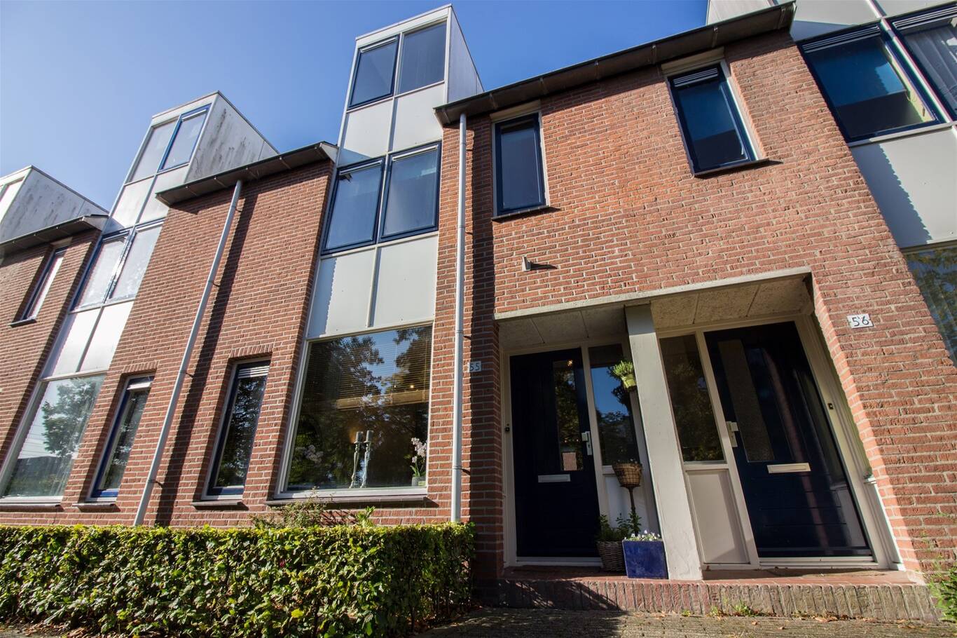 Ekster 55 HOORN