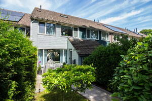 Duiker 50 GROOTEBROEK