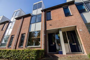 Ekster 55 HOORN Ekster 55 HOORN