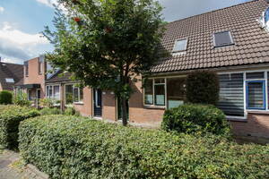 Boterbloem 102 ZWAAG Boterbloem 102 ZWAAG