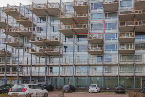 Kaap Hoorn 52, HOORN