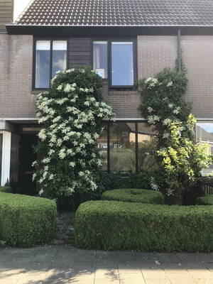 Havikweg 47, ALKMAAR
