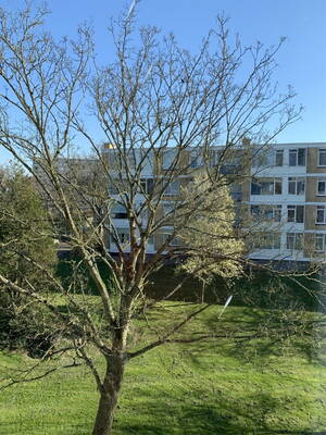 Van Ostadelaan 188, ALKMAAR